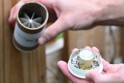 Pour combattre les moustiques, une entreprise américaine en relâche 600.000 dans les jardins