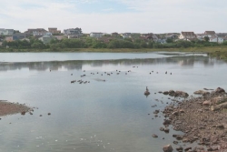 Une odeur "très désagréable, dégoûtante et insupportable" s'empare des environs de l'étang Boulot