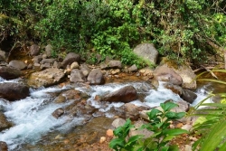 Saint-Claude : une anomalie du pH détectée dans l’eau de baignade de la Rivière Rouge