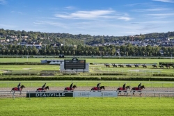 Les pronostics du Quinté de Deauville-La Touques du 11 août 2026 par Marie-France Bertella