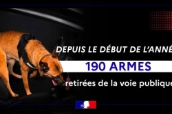 Guadeloupe : 190 armes saisies depuis le début de l’année 2026