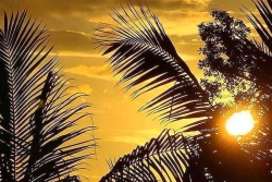 Météo: une matinée ensoleillée à La Réunion