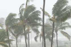 Météo : Un fort El Niño a « une chance sur deux » d'évoluer en dépression ou en cyclone