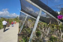 Un Parc de la Vanille et des Orchidées voit le jour à Bras-Panon 
