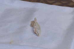 Nukuatea : la mâchoire retrouvée sur l’îlot des lépreux est bien d’origine humaine
