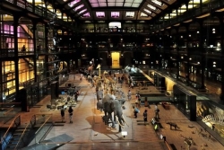 "Un acteur majeure de la connaissance" : le Muséum national d’Histoire naturelle de Paris rend hommage au naturaliste Roger Etcheberry
