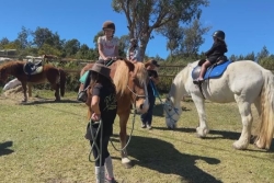 Des pommes de terre à foison et de belles promenades à cheval : la Plaine des Cafres en fête ce dimanche 