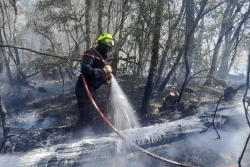 Incendies en France : les pompiers mahorais de retour ce mercredi