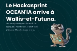 À Wallis, l’intelligence artificielle et les images satellites au service de l’observation du territoire