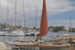 L’école de pirogue à voile traditionnelle contrainte de quitter le motu de Arue en raison des travaux d’aménagement