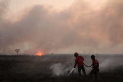 Indonésie : 200 000 hectares ont brûlé mais le pire est à venir, disent les autorités