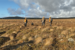 La saison de chasse bientôt ouverte à Saint-Pierre et Miquelon 