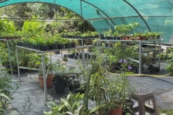Retard de versement des aides FEADER aux agriculteurs : la Région Guadeloupe débloque 5M€ d’avance remboursable