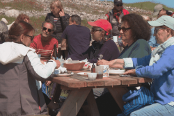 Apéros, boum costumée, yoga et feu de camp... la première "colo pour adultes" de l'île-aux-Marins ouverte aux inscriptions