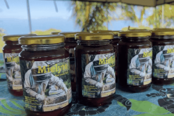 À Lifou, la fête du Santal et du Miel met à l’honneur les trésors de Wetr