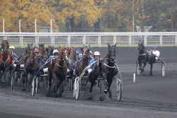 Les pronostics du Quinté de Vincennes du 29 août 2026 par Jack Vautrin