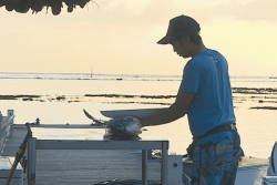 Balise de géolocalisation obligatoire pour les pêcheurs : plus qu’un mois pour se mettre en règle