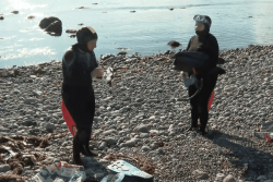 Tour de l’île aux Marins : les nageurs peaufinent leur entraînement