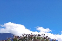 La Réunion : plus de soleil, moins de nuages pour cette fin de semaine et ce week-end