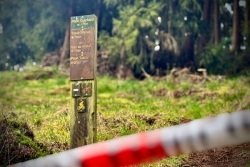 Un corps retrouvé par l'équipe cynophile des pompiers à la Plaine-des-Cafres, vers le Piton Guichard