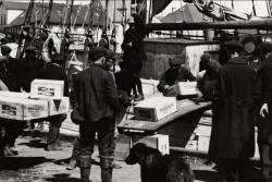 Alcool, contrebande et crise de la pêche : l’archipel de Saint-Pierre et Miquelon dans l’entre-deux-guerres