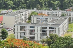 Construction de logements sociaux : une motion adressée à la ministre des Outre-mer pour le maintien de la LBU