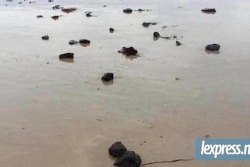 Île Maurice : des boulettes de goudron et des traces d'hydrocarbure s'échouent sur les plages de l'Est