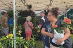 Festi-Plantes 2026 : pendant cinq jours, Saint-André célèbre les plantes et arbres fruitiers