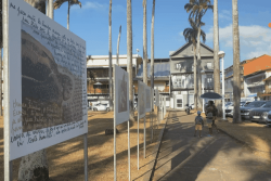 Sur la place des Palmistes, une exposition donne vie aux archives des scientifiques sur la biodiversité de Guyane