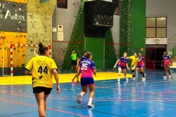 Le handball féminin fait sa rentrée en championnat de La Réunion : la Cressonnière s'impose face au HBF Saint-Denis