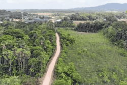 Projet Logipark à Matoury : la société SIFEP envisage une autre parcelle