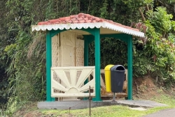 Transport en Martinique : Y-aura-t-il des bus en circulation cette semaine ?