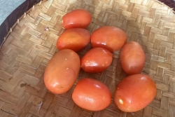 Le prix des tomates en augmentation à La Réunion