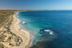 Australie : un homme hospitalisé après une attaque de requin