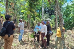 À Coconi, « Malalao Yatru » veut préserver les plantes médicinales de Mayotte