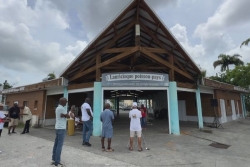 Face aux algues rouges et aux restrictions, les marins-pêcheurs de Guadeloupe réclament des réponses