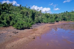 L'Office français de la biodiversité va allouer 41.550 euros pour financer trois projets à Mayotte