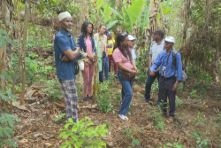 Une délégation d'artisans malgaches en visite à Mayotte pour que les Mahorais "ne soient plus considérés comme des consommateurs"