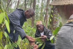 Une rencontre fructueuse entre producteurs de vanille de Mayotte et de La Réunion 