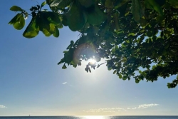 Météo : retour au vert en Martinique après le passage de l’onde tropicale n°43