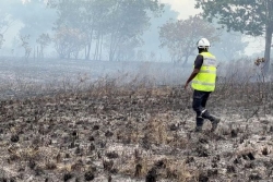 Kourou : les feux de savane s'intensifient alors que la saison sèche débute
