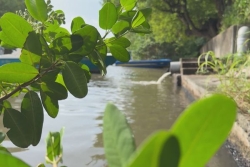 Odeurs et couleur douteuses de l'eau, démangeaisons : baignade interdite à la plage de l'Autre Bord, au Moule