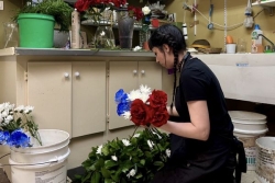 "C'est montrer notre savoir-faire" : à Saint-Pierre-et-Miquelon, la fleuriste prépare les compositions florales de la visite présidentielle