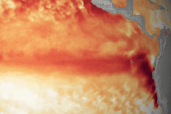 Cet épisode El Niño sera sans précédent au cours des huit dernières décennies