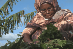 Un colloque pour échanger sur la préservation de la médecine traditionnelle mahoraise 