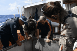 Pêche illégale : 40 navires contrôlés dans le Pacifique lors de l’opération Nasse 26