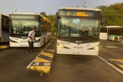 Transports : les bus font leur retour dans le centre de la Martinique