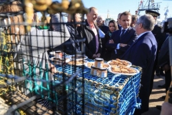 1 500 tonnes de crabe des neiges : Macron promet une licence exploratoire à Saint-Pierre-et-Miquelon