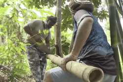 À Canala, les instruments traditionnels au cœur des 40 ans du Kaneka