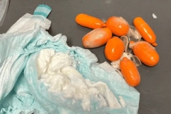 Polynésie : de la méthamphétamine cachée dans la couche d’un bébé
